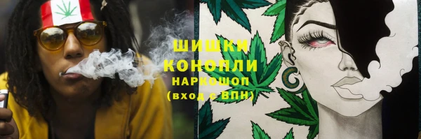 мет Надым